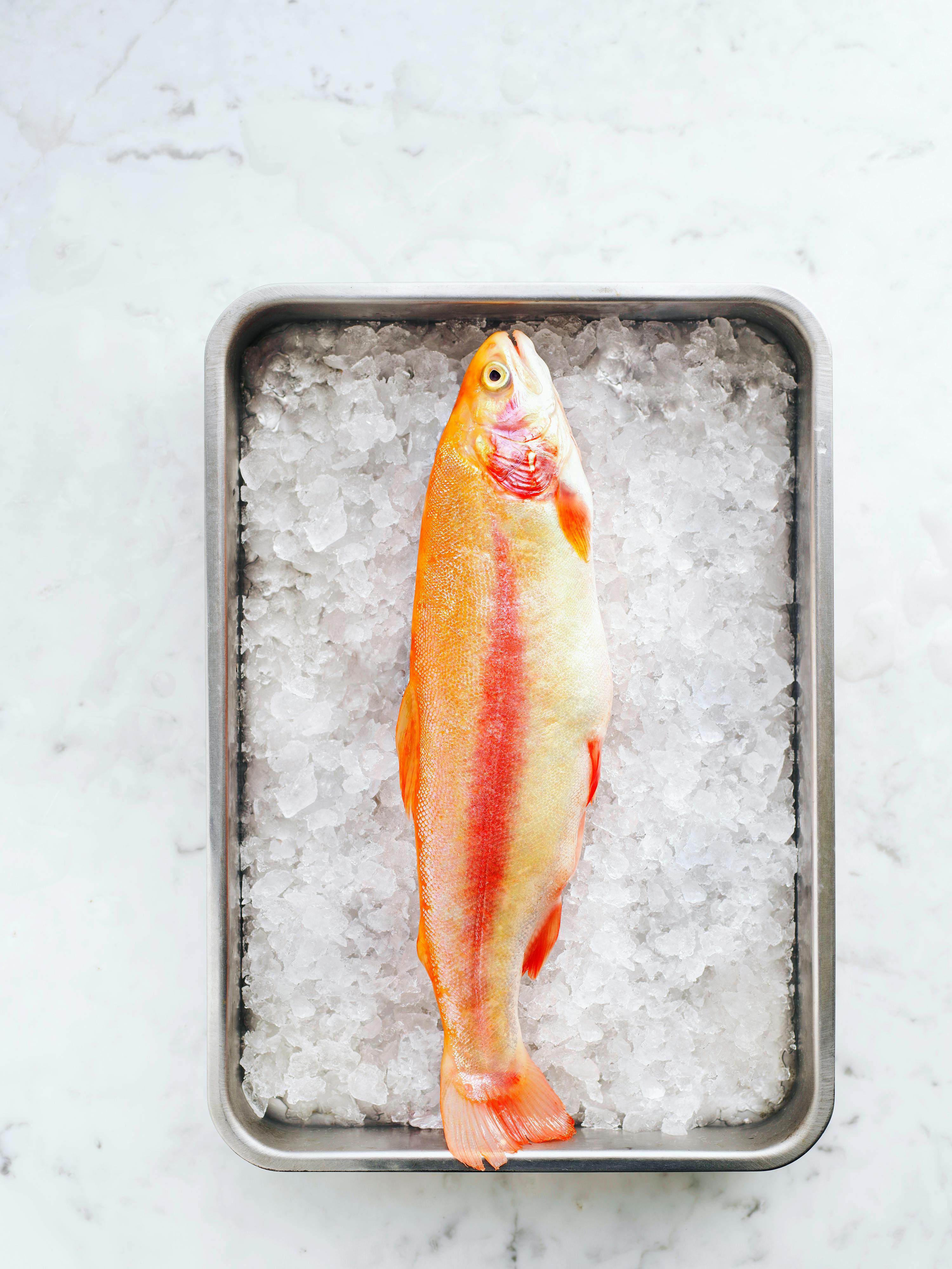 Effective Ways to Enhance Your 65 Gallon Fish Tank in 2025