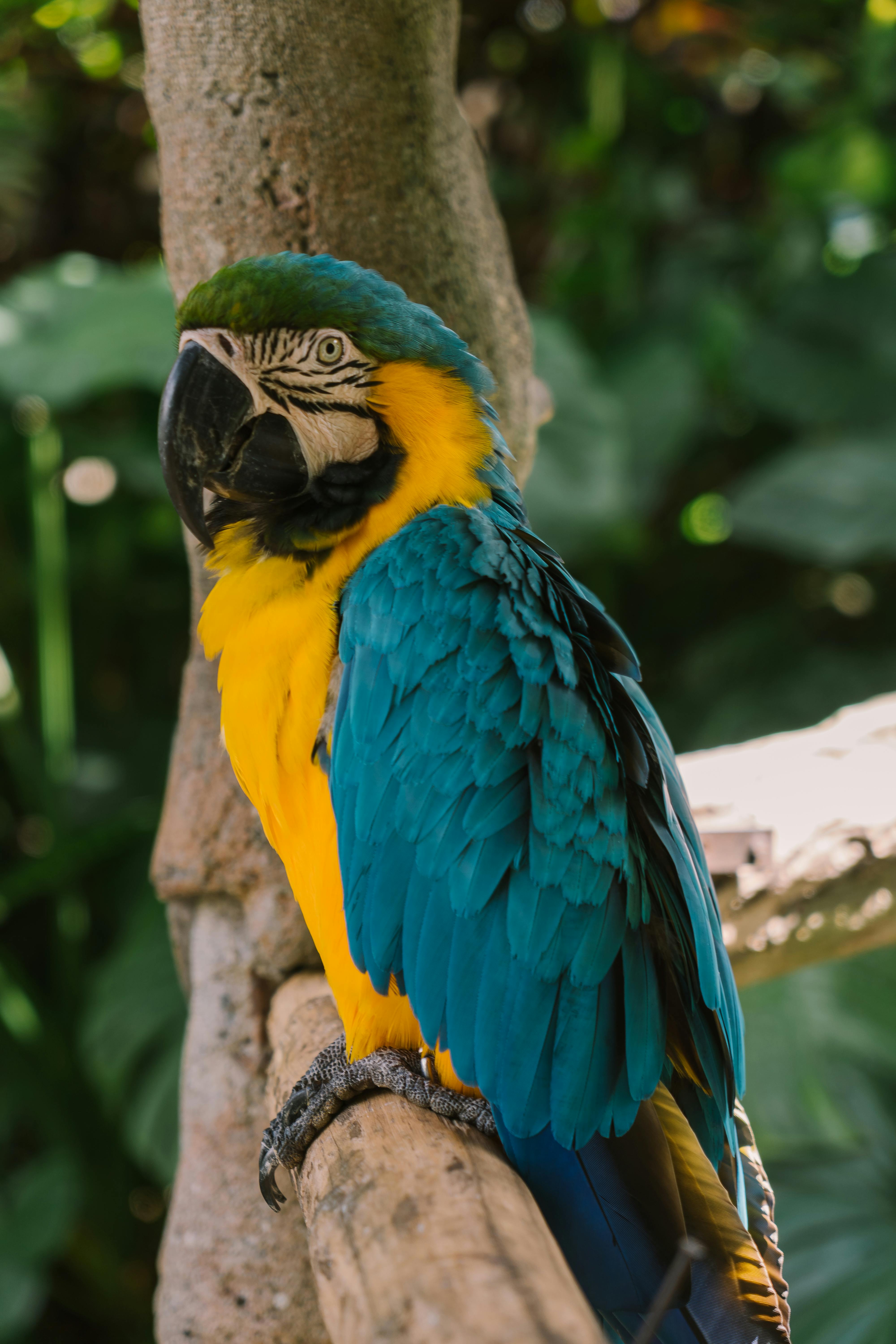 Discover the Best Tennessee Aquarium Reviews: Top 5 Highlights in 2025