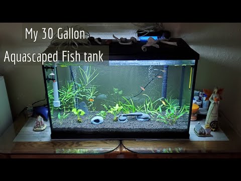 30 Gallon Fish Tank