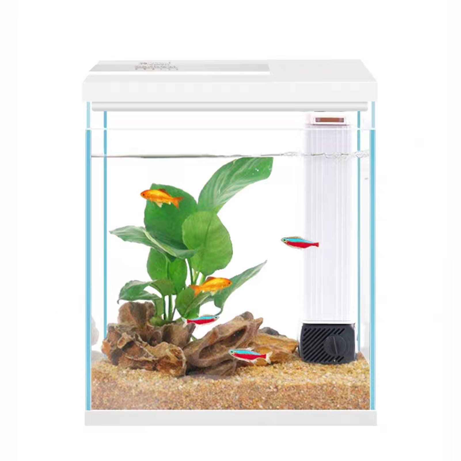 Small fish tank with decorations