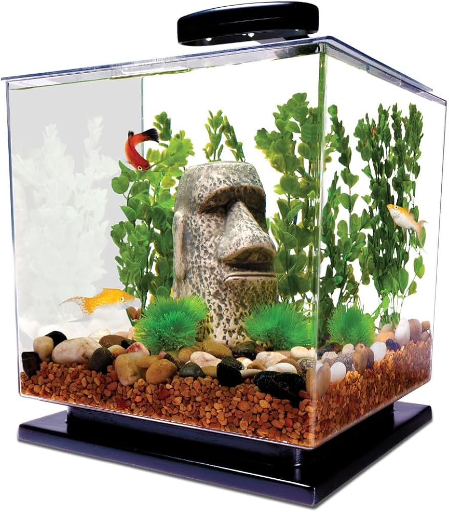 Beautifully Decorated 3 Gallon Fish Tank