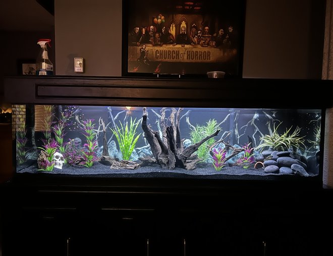 125 Gallon Fish Tank