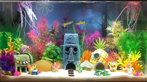 Cool Fish Tanks