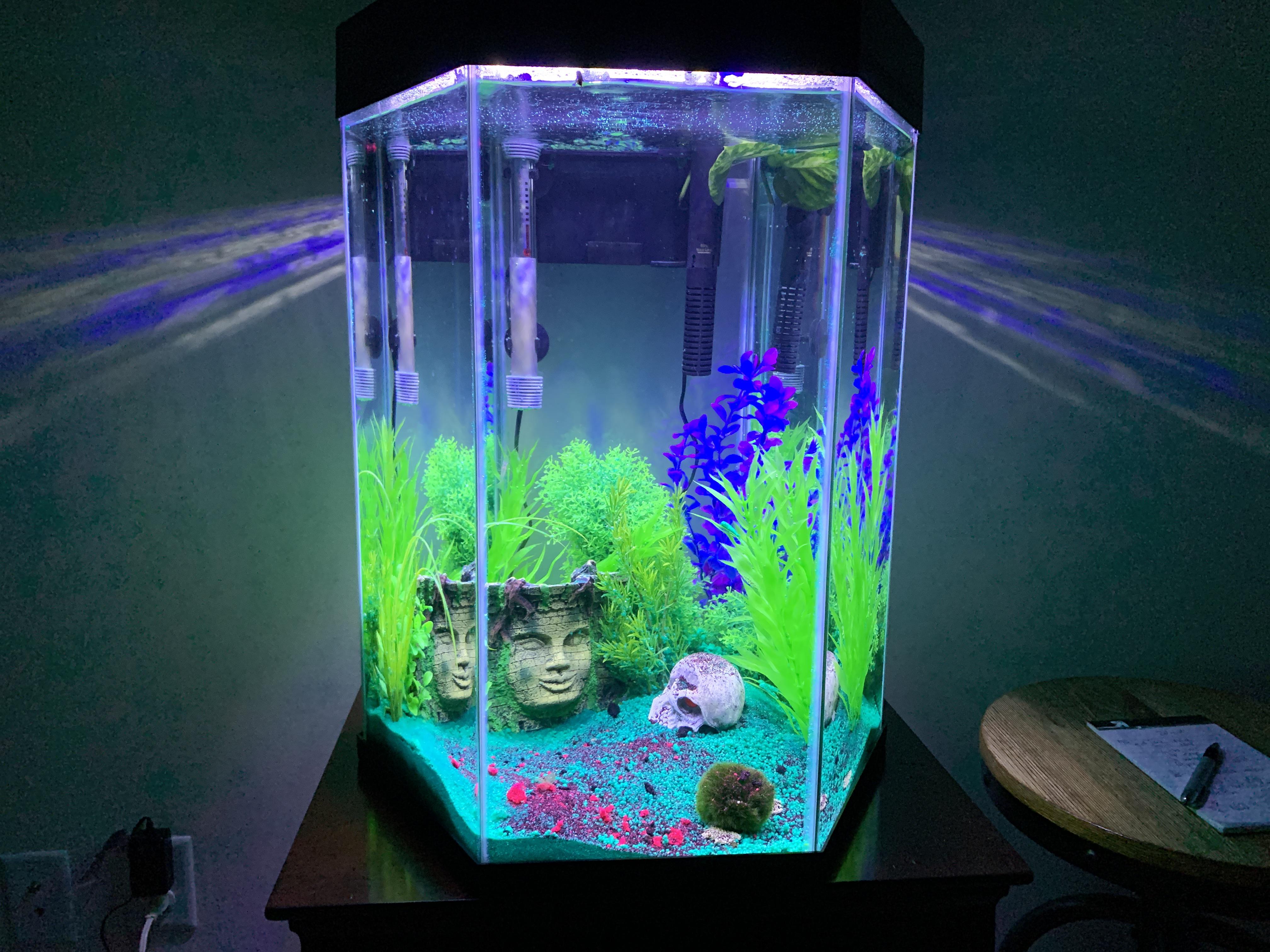 Beautiful Hexagon Fish Tank