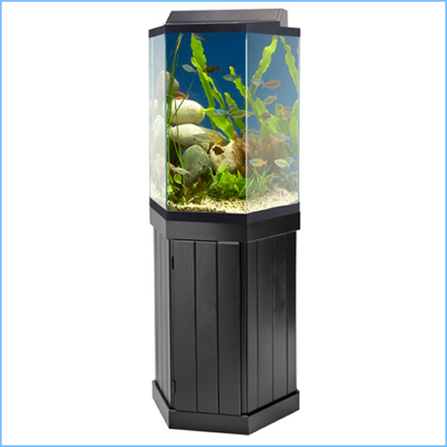 Elegant Hexagon Fish Tank