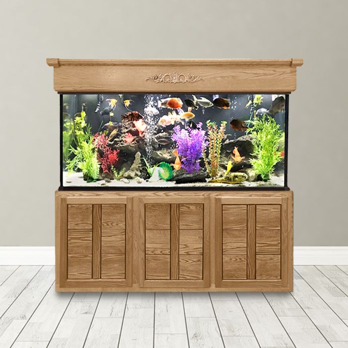 Modern Aquarium Stand Options