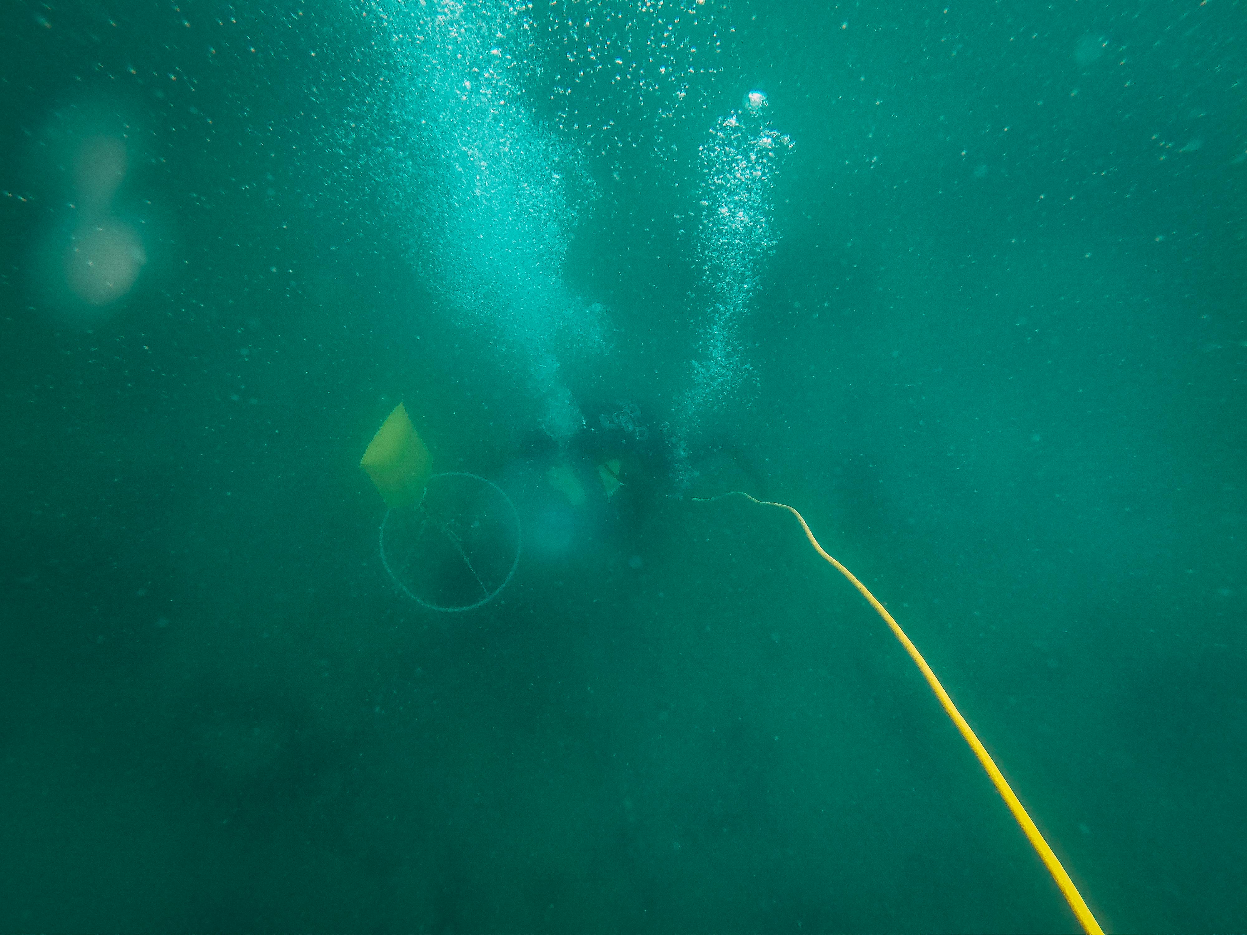 Rainbow Reef Dive Center